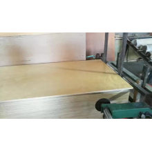 Factory-directly commercial plywood/bintangor/okoume/birch/pine plywood for sale